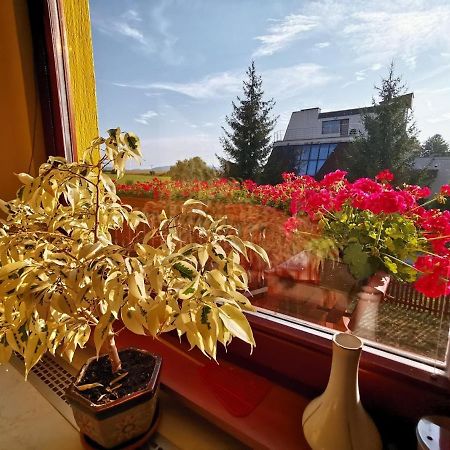 Apartman Adrianka Turcianske Teplice Luaran gambar
